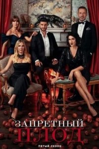 Запретный плодтурецкие сериалы смотреть онлайн